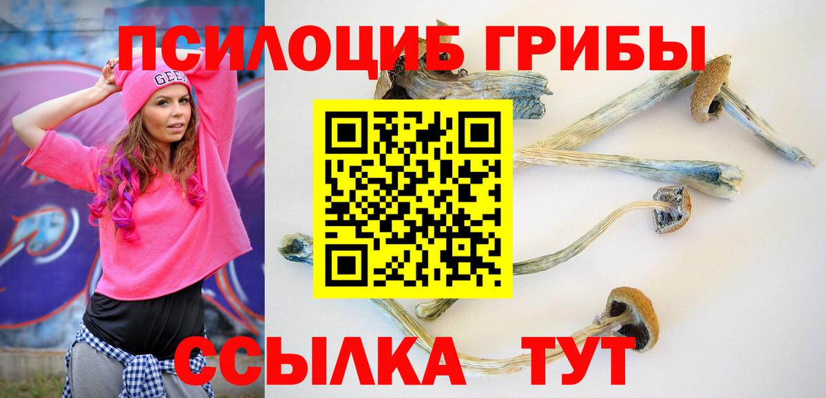 цена   Псилоцибиновые грибы прущие грибы  Вход с VPN  Уфа 