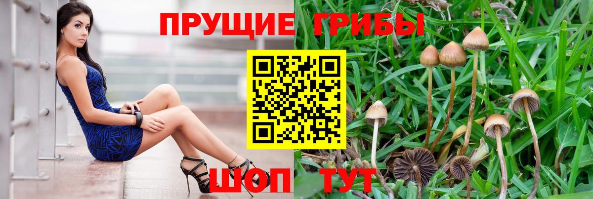 Галлюциногенные грибы MAGIC MUSHROOMS Уфа